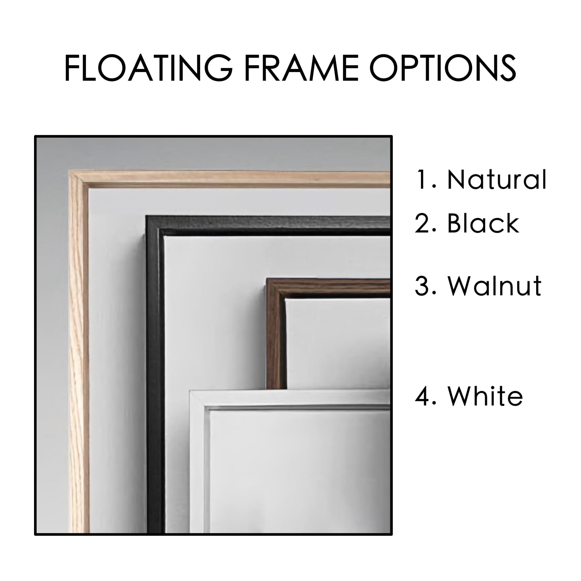 Floating frame color options for canvas options